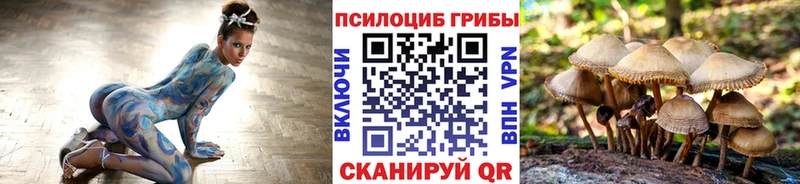 Купить где Губкинский Псилоцибиновые грибы GOLDEN TEACHER
