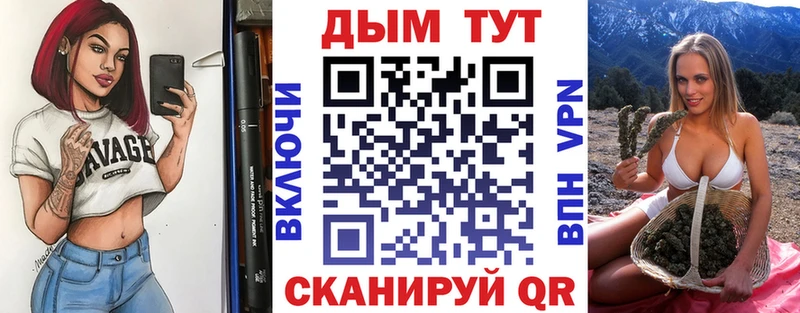 Купить Губкинский Каннабис индика